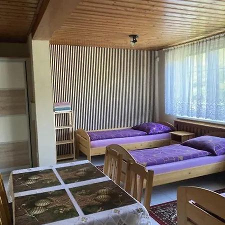 Penzion Modrý *